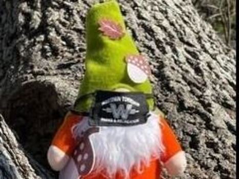 Gnome