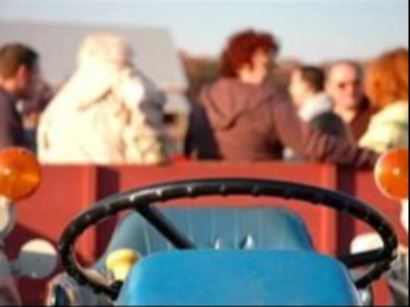 Hayride