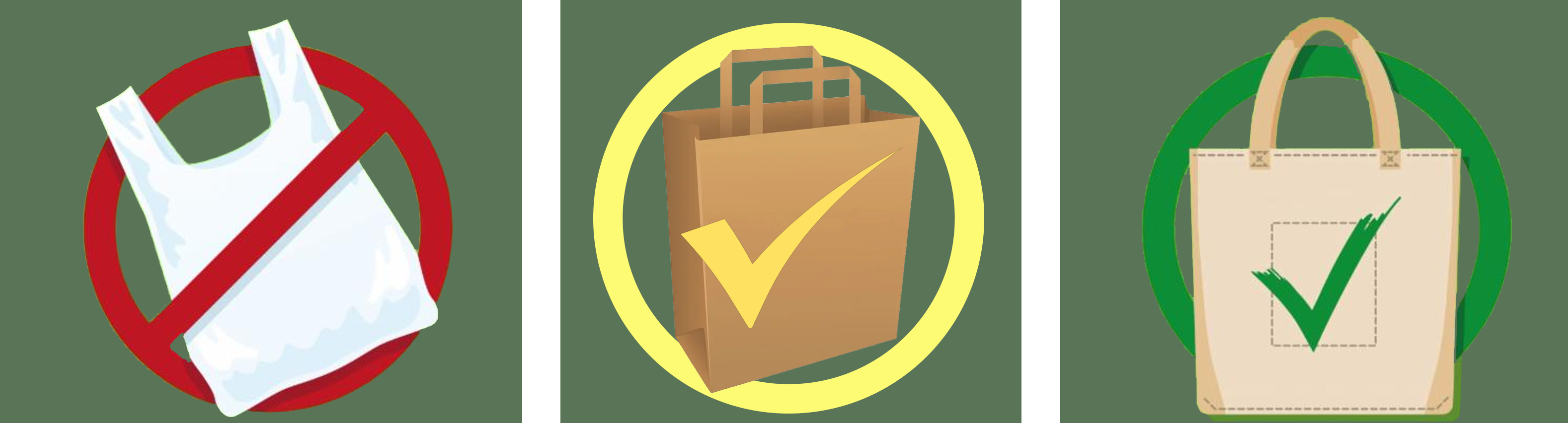 Plastics Ban Image copy